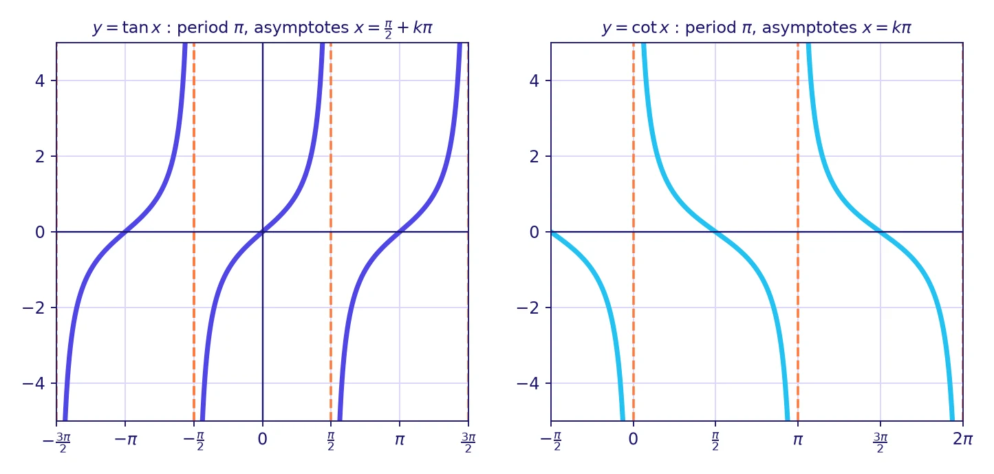 Trig graphs grade 12: graphs of tangent and cotangent with period π, dashed vertical asymptotes and branches that climb from minus infinity to plus infinity for tangent and fall for cotangent