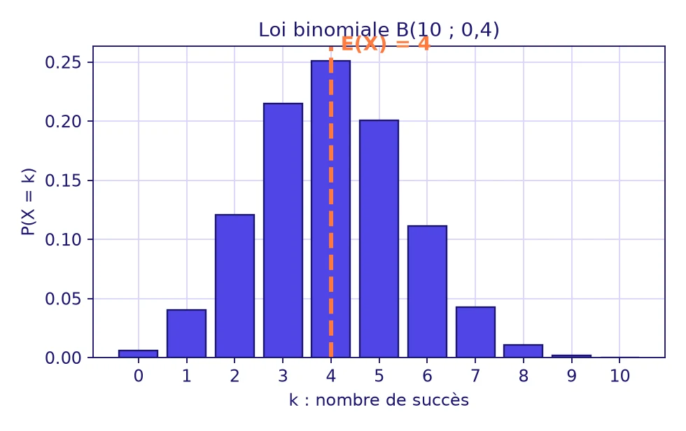 Variables aléatoires 1ère : diagramme en bâtons de la loi binomiale B(10 ; 0,4) avec la valeur la plus probable k = 4 et l’espérance E(X) = 4 en pointillés orange